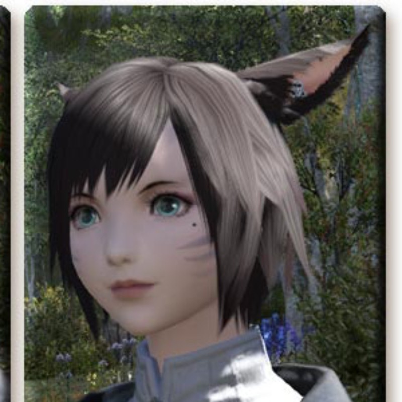 FF14 ミコッテのウィッグ · narikiri FF14 ミコッテのウィッグ · narikiri